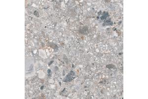 LARA pracovná doska 3,8 cm, mrazivý kameň
